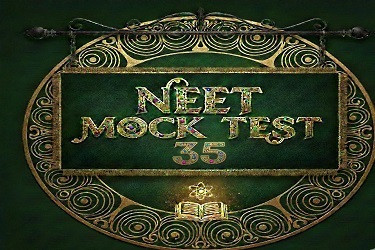 MOCK TEST 35